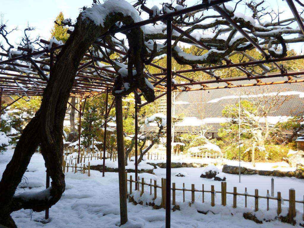 高野山 宿坊 熊谷寺 -Koyasan Shukubo Kumagaiji- Wakayama Dış mekan fotoğraf